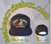NAVY SEABEE Vietnam Veteran hat