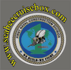 1st Naval Construction Division COMMAND A HARDHAT STICKER Light blue water