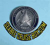 SPACE FORCE PIN