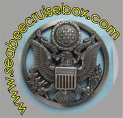 ARMY CAP PIN 