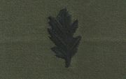 Collar Device, Corp,  OD GREEN
