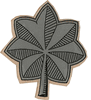 O-5 Lt. Colonel (Silver Leaf) Hard Hat sticker