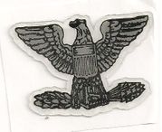 O-6 Colonel (Eagle) Hard Hat sticker