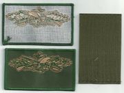 OD GREEN SCW PATCH WITH VELCRO