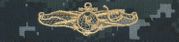 Information dominance warfare, Officer, Breast Device, NWU Type I