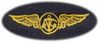 54 Aircrew Breast Device, on Olive green fabric 54 Aircrew Breast Device, on Olive green fabric