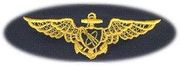 NAVAL ASTRONAUT, Breast Device, Embroidered in Gold Thread on tan fabric