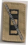 Cap Device WO4 Warrant Officer 4 Navy Embroidered - Desert Tan
