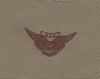 USMC COMBAT AIRCREW, Breast Device, Embroidered in GOLD Thread on tan fabric USMC COMBAT AIRCREW, Breast Device, Embroidered in GOLD Thread on tan fabric