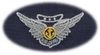 53 Combat Aircrew Breast Device, on Olive green fabric 53 Combat Aircrew Breast Device, on Olive green fabric
