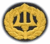 COMMAND ASHORE, Breast Device, Embroidered in Gold Thread on TAN fabric COMMAND ASHORE, Breast Device, Embroidered in Gold Thread on TAN fabric