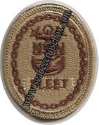 67: E-9 fleet Command Master Chief, Breast Device, Embroidered in Gold Thread on TAN fabric