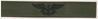 51 Enlisted Aviation Warfare Specialist (EAWS) Breast Device, on Olive green fabric 51 Enlisted Aviation Warfare Specialist (EAWS) Breast Device, on Olive green fabric