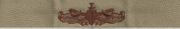 SURFACE WARFARE SPECIALIST, Breast Device, Embroidered in GOLD Thread on TAN fabric