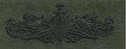 23 Enlisted Surface Warfare Specialist (ESWS) Breast Device, on Olive green fabric