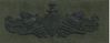 23 Enlisted Surface Warfare Specialist (ESWS) Breast Device, on Olive green fabric 23 Enlisted Surface Warfare Specialist (ESWS) Breast Device, on Olive green fabric