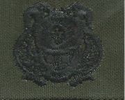 12 First Class Diver , Breast Device, on Olive green fabric