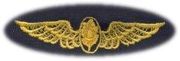 57 Flight Surgeon Breast Device, on Olive green fabric