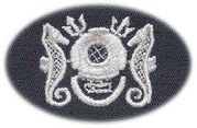 15: MASTER DIVER, Enlisted, Breast Device, Embroidered in GOLD Thread on TAN fabric