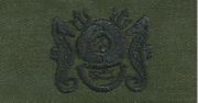 14 Master Diver Breast Device, on Olive green fabric
