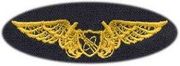 NAVAL FLIGHT OFFICER ASTRONAUT, Breast Device, Embroidered in Gold Thread on tan fabric