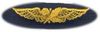 55 Naval Aviation Supply Breast Device, on Olive green fabric 55 Naval Aviation Supply Breast Device, on Olive green fabric
