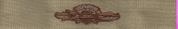 EXPEDITIONARY COMBAT WARFARE SPECALIST, Breast Device, Embroidered in Sliver Thread on TAN fabric