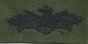 Seabee Combat  Warfare Breast Tab OD Green