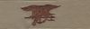 Special Warfare, (NAVY SEAL), Breast Device, Embroidered in Gold Thread on TAN fabric Special Warfare, (NAVY SEAL), Breast Device, Embroidered in Gold Thread on TAN fabric