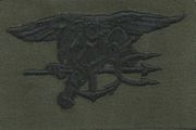 8 Special Warfare (Navy Seal) Breast Device, on Olive green fabric