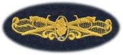 28 Surface Warfare Dental Breast Device, on Olive green fabric