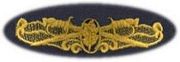 29 SURFACE WAREFARE NURSES CORP, Breast Device, on Olive green fabric