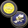SEABEE AND COMBAT WAREFARE COINS