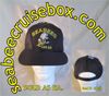 SEABEES CAN DO Hat