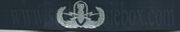 SENIOR EOD, Breast Device, Embroidered in Sliver Thread on BLUE coverall fabric