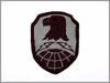 Space & Strategic Defense CMD: Army Combat Uniform (ACU) Patch