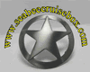 Star of Texas