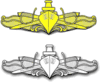 Surface Warfare Specialist