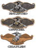 This Fleet Marine Force Warefare Stickers