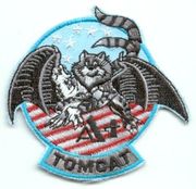 TOMCAT patch