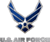 U.S. AIR FORCEUniform embroidered Section