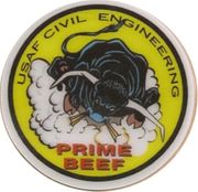 US AIR FORCE COMMAND HARDHAT STICKERS