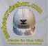 US ARMY Scrambled Eggs (Single) in Sliver
