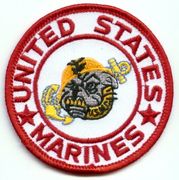   USMC dog
