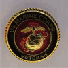 USMC VETERAN small hat pin