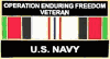 USN ENDURING Freedom small hat pin