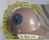 USN EXPEDITIONARY LOGISTICS FORCE USN EXPEDITIONARY LOGISTICS FORCE
