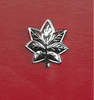 Navy Overseas Cap Device - Commander CDR