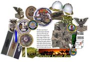 Navy Patch - U.S. Navy Law Enforcement Subdued Small