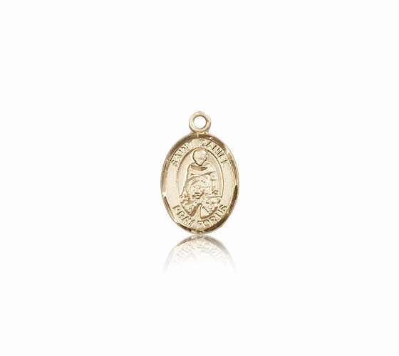St Daniel Patron Saint of Prisoners Jewelry & Gifts